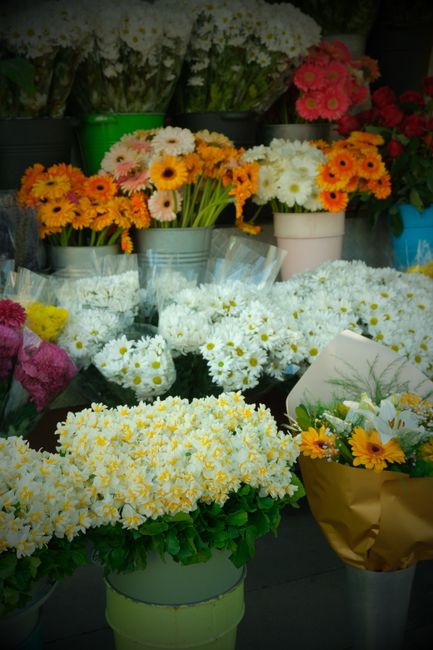 A vibrant display of fresh flowers arranged in various containers at a floral shop, including white daisies, yellow chrysanthemums, pink and orange gerbera daisies, and small mixed flower bouquets. Th